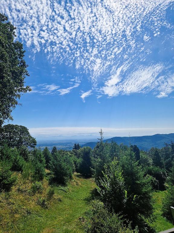 Studio au-dessus des nuages - Parking privé – photo 33
