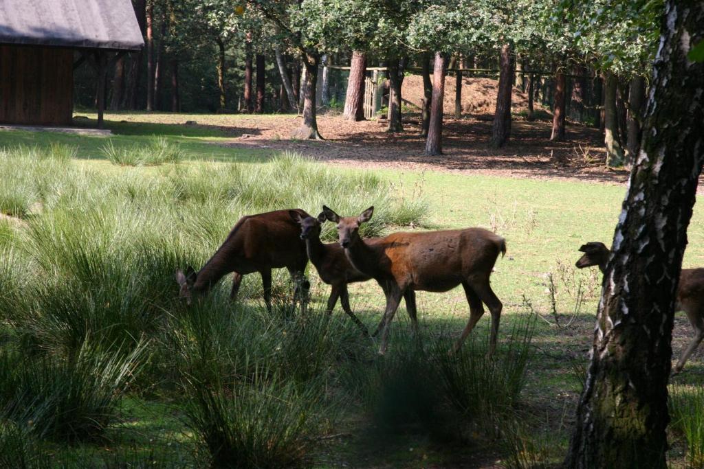 Hotel Christophorus - Resim 22