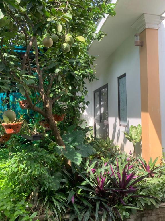 Tam Coc Minh Gia Homestay - 19