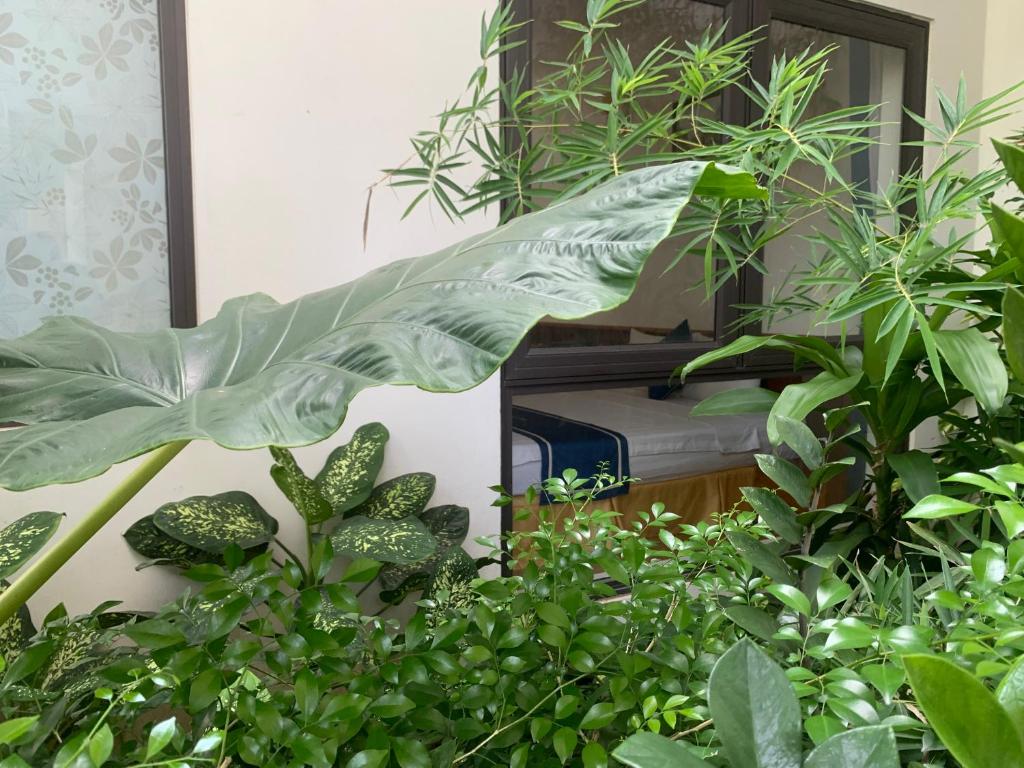 Tam Coc Minh Gia Homestay - 18