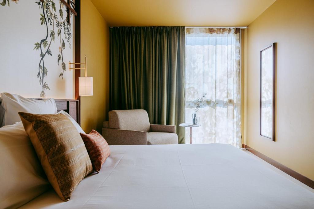 Sangha Toulouse - Resim 5