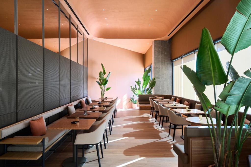 Ristorante o altro punto ristoro di Barcelona Princess