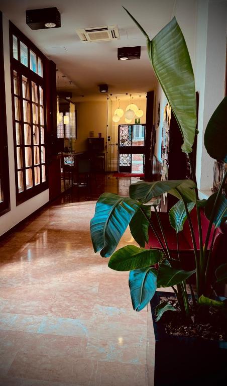 Domus Ciliota - Resim 18