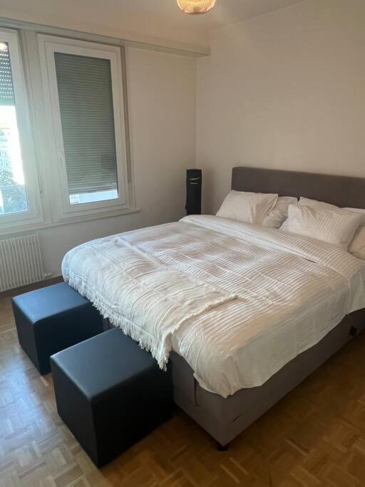 Genève magnifique appartemens aux Eaux vives