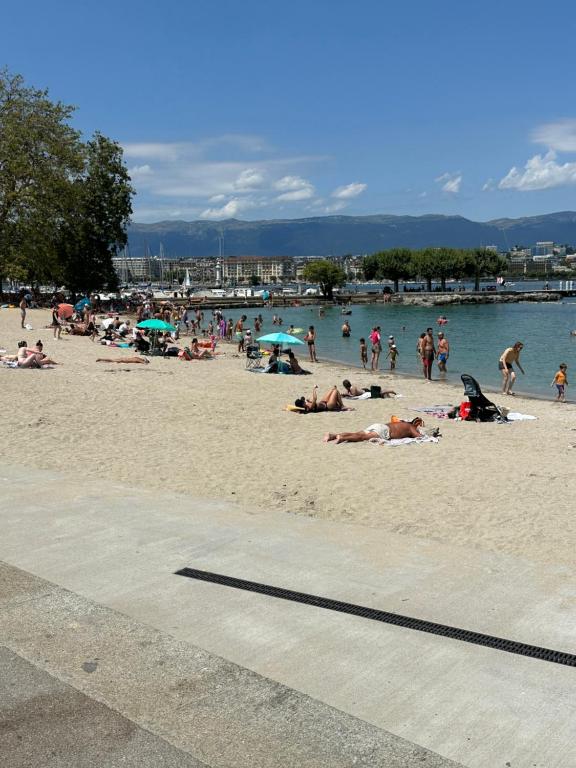 Genève magnifique appartemens aux Eaux vives - Resim 5