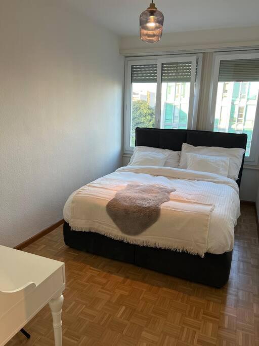 Genève magnifique appartemens aux Eaux vives - Resim 6