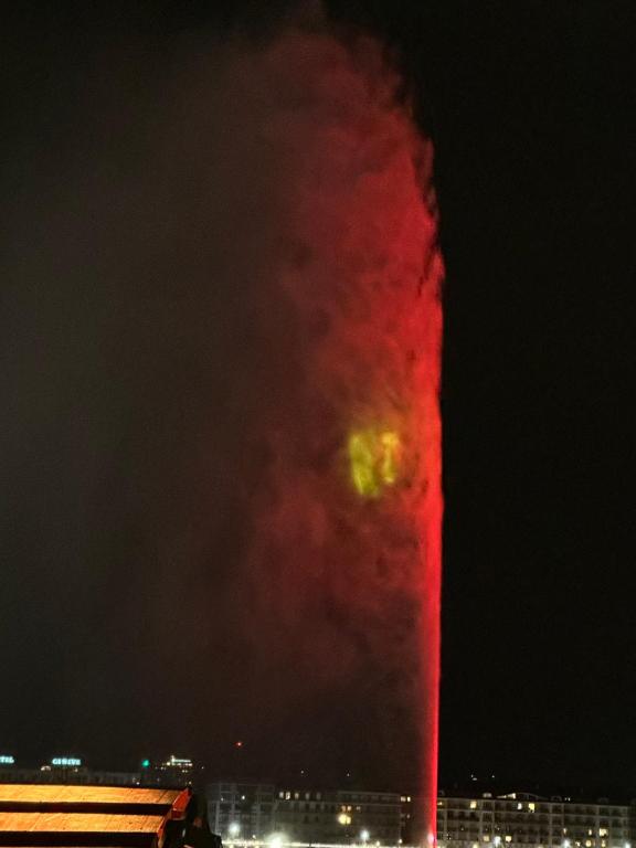 Genève magnifique appartemens aux Eaux vives - Resim 12