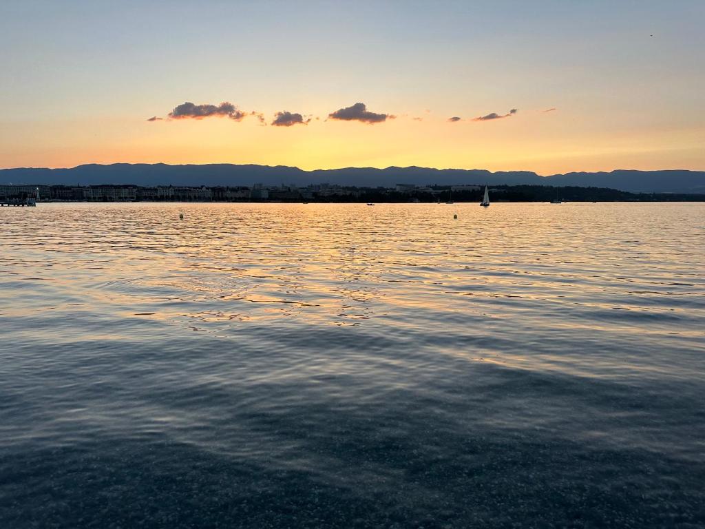 Genève magnifique appartemens aux Eaux vives - Resim 15