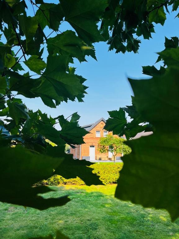 Ein Garten an der Unterkunft Ferienwohnung Zur Alten Tischlerei