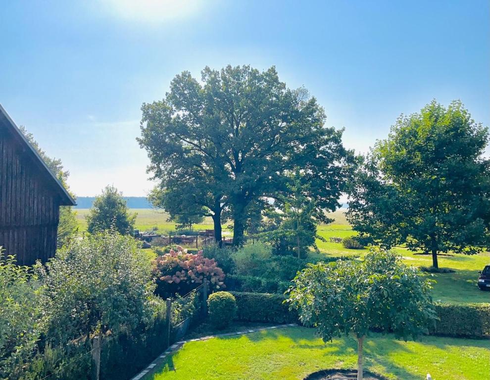 Ein Garten an der Unterkunft Ferienwohnung Zur Alten Tischlerei