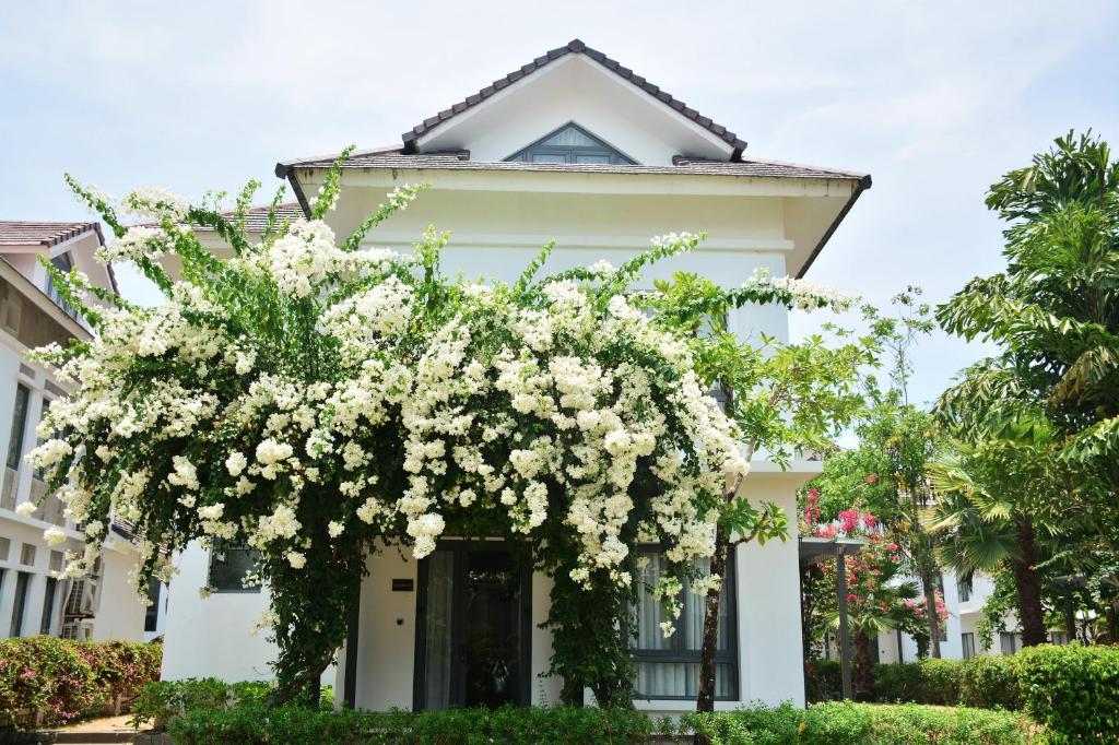 Biệt Thự 1 Phòng Ngủ