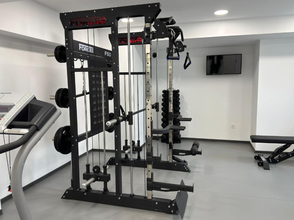 Fitness centrum a/nebo fitness zařízení v ubytování Rey Don Sancho