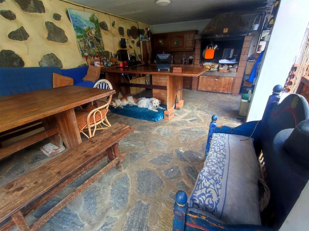 Rivendell Eco lodge - 18