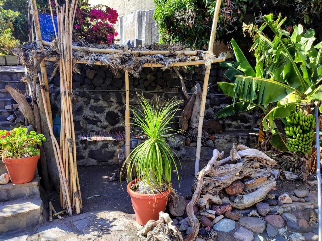 Rivendell Eco lodge - 16