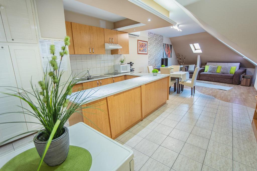 Kuchyňa alebo kuchynka v ubytovaní Delfin Apartman