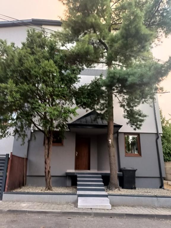 Royal EvitaBocelli Spodek by walk - 13