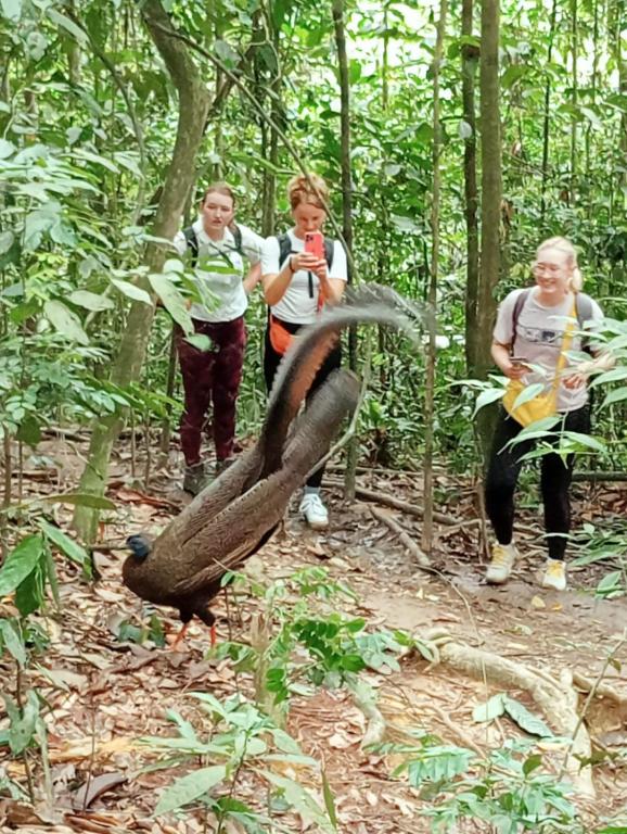 Hosté ubytování Wild Paradise Guest House & Jungle Trekking Booking With Us