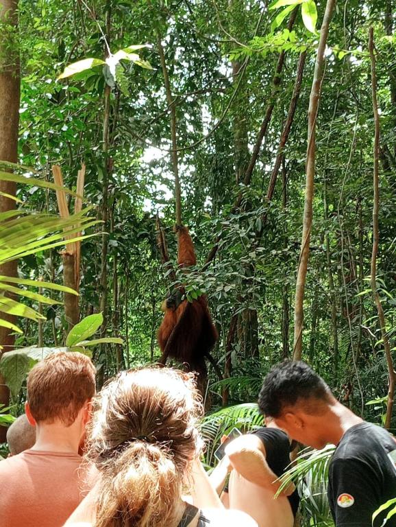 Hosté ubytování Wild Paradise Guest House & Jungle Trekking Booking With Us