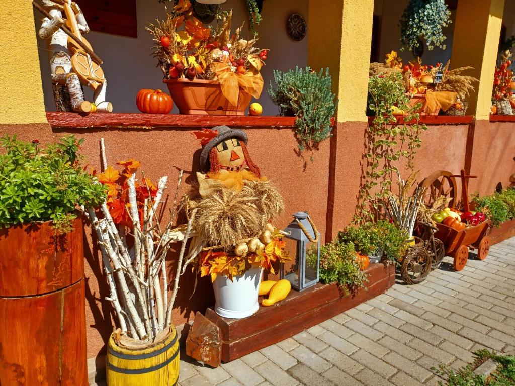 Fotografie z fotogalerie ubytování Tulipán Ház v destinaci Bodony