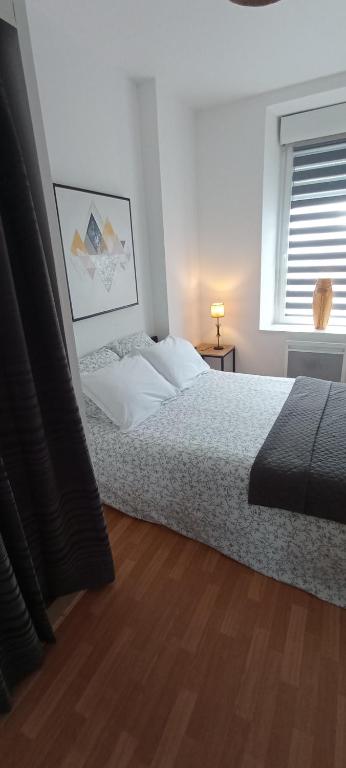 une chambre avec un lit et une fenêtre dans l'établissement DESTELLE APPART proche gare, à Saint-Brieuc