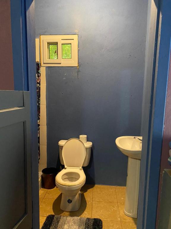a bathroom with a toilet and a sink at Airport Inn Roatan in Coxen Hole