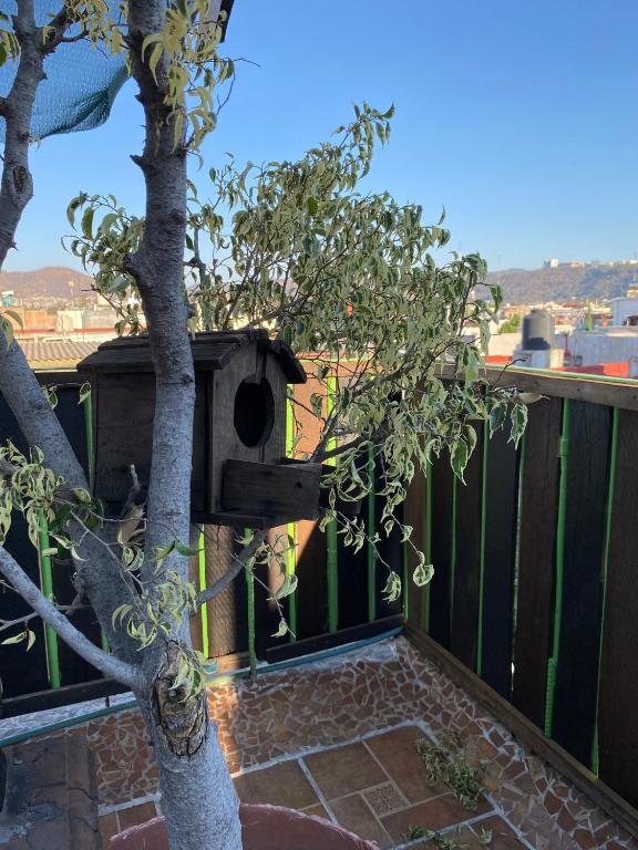 Balkón nebo terasa v ubytování Hostal San Fransiskuni