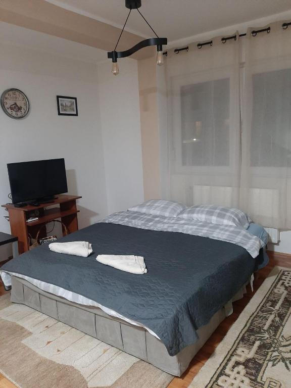 Postel nebo postele na pokoji v ubytování Slatki Snovi - Novi apartman u centru Vranja - FREE PARKING