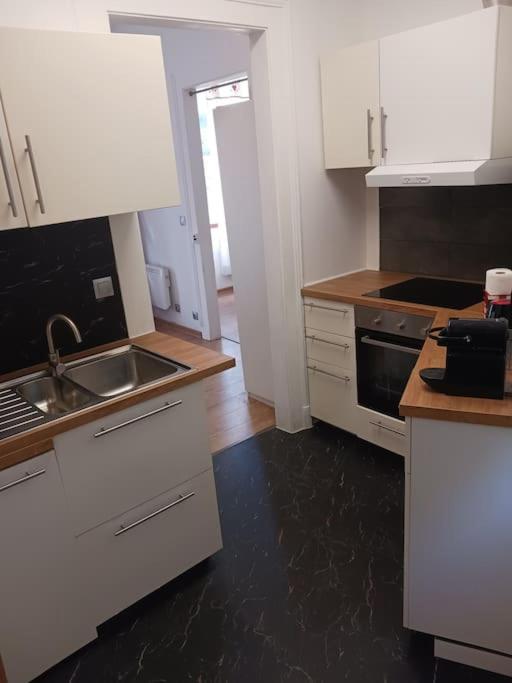 une cuisine avec des armoires blanches et un évier dans l'établissement Appartement à 50m des Thermes, à Aix-les-Bains