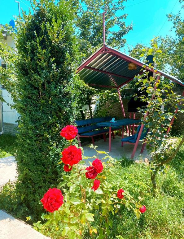 Zahrada ubytování Green Garden B&B