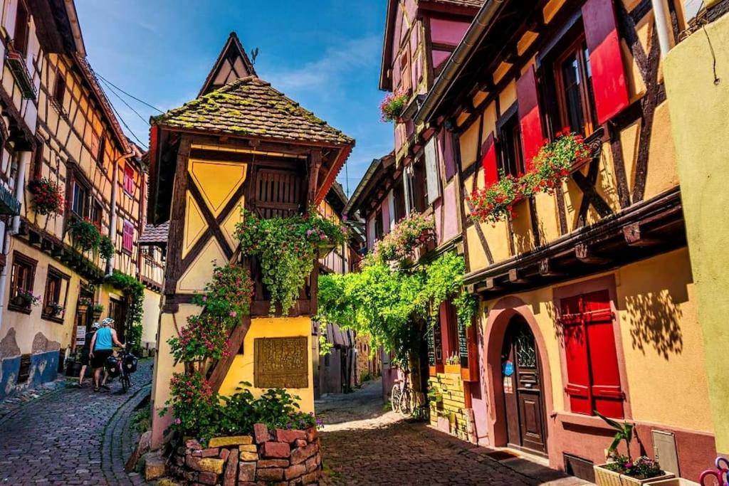 BRETZEL gîte dans maison Alsacienne, Eguisheim – photo 24