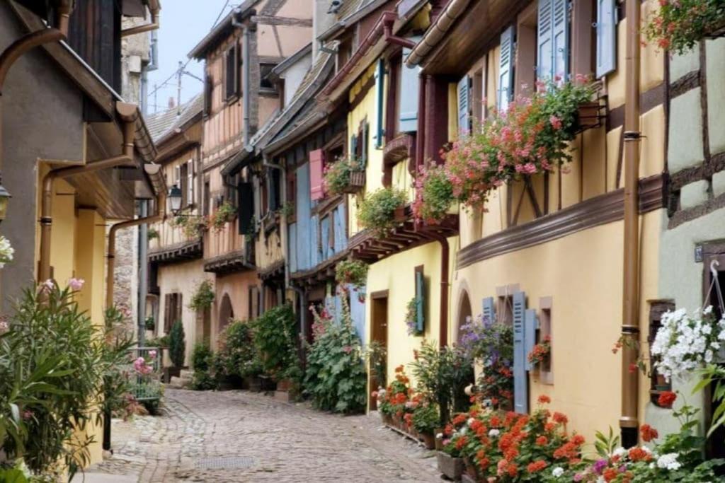 BRETZEL gîte dans maison Alsacienne, Eguisheim – photo 26