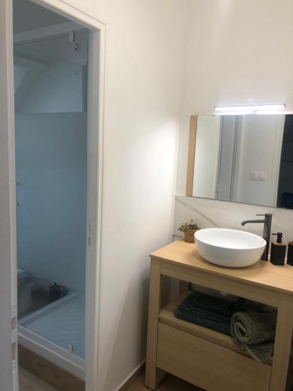 Koupelna v ubytování Appartement F2