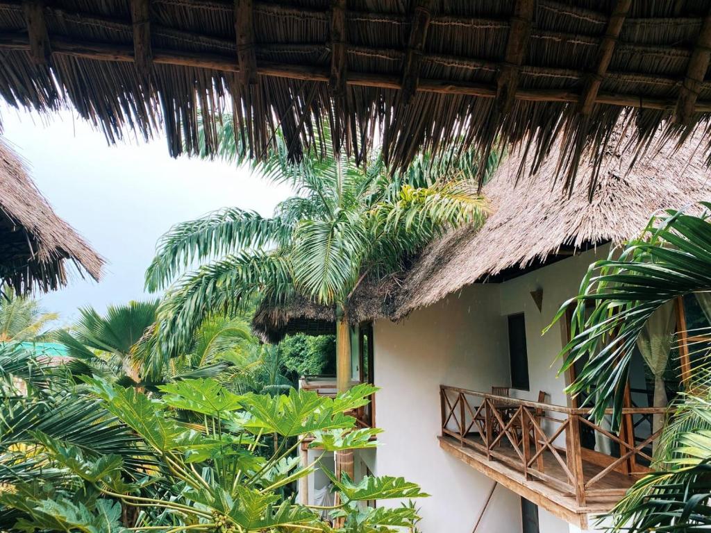 Ein Garten an der Unterkunft Maisha Nungwi - Boutique Hotel