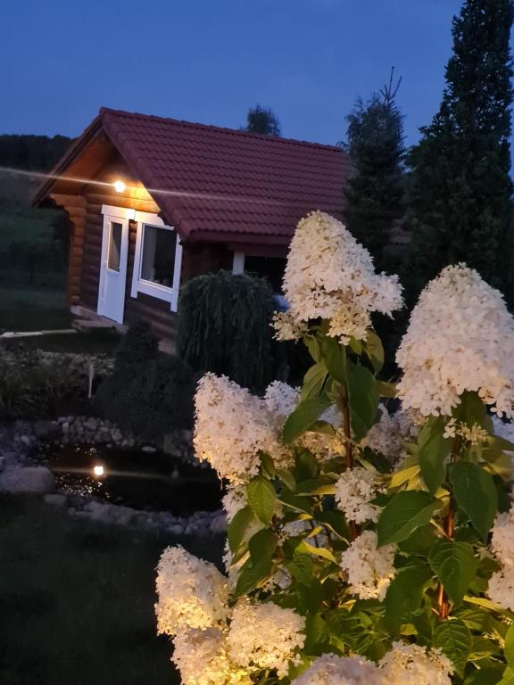 Pavasario Namai & SPA - One-Bedroom House