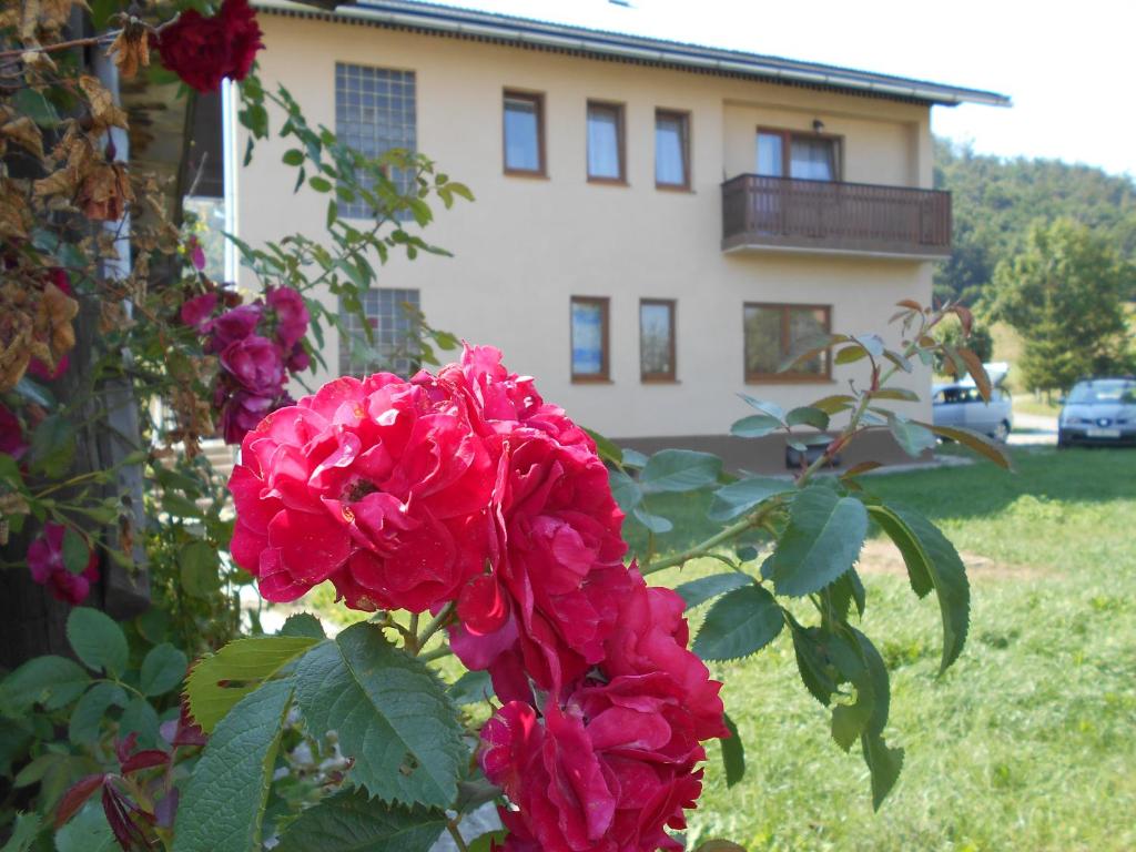 a bush of pink flowers in front of a house at Apartments T&M in Mrkopalj