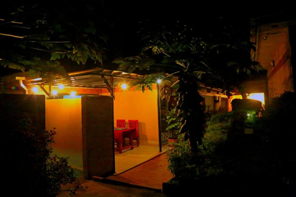 Zahrada ubytování Palm Star Motel