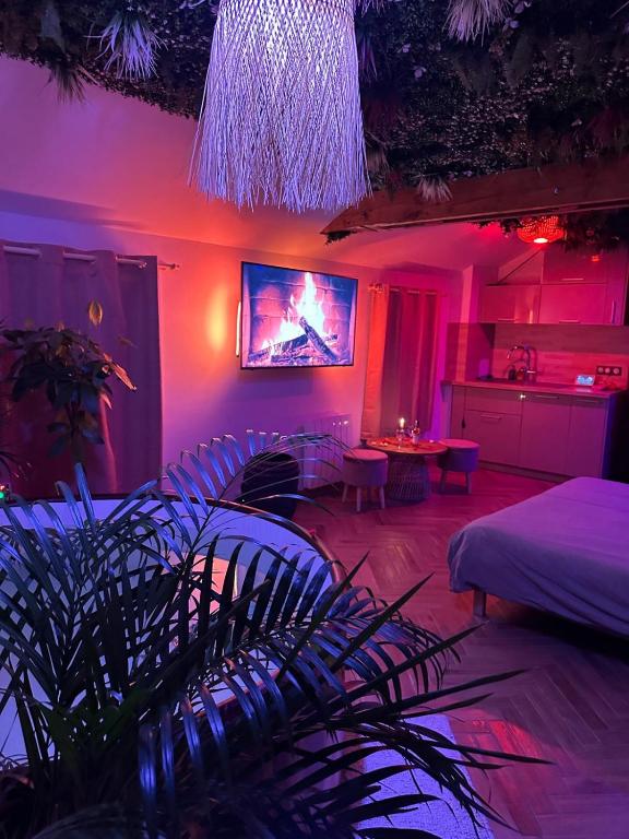 Cette chambre comprend un lit et une télévision murale. dans l'établissement jacuzzi exotique cinéma, à Sainte-Geneviève-des-Bois