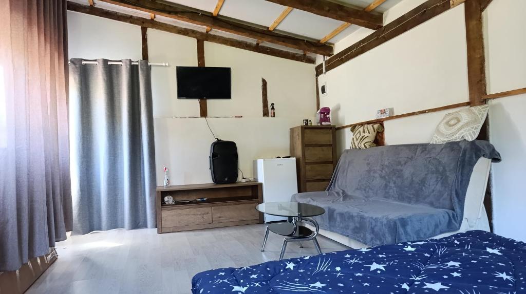 TV a/nebo společenská místnost v ubytování Glamping Vlad