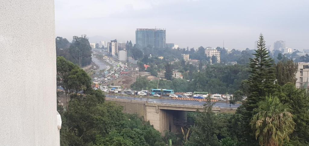 Природа в окрестностях апартаментов/квартиры