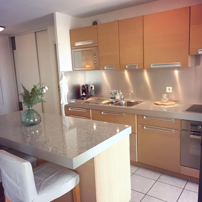 une cuisine avec un évier et un plan de travail dans l'établissement Apt calme 2 chambres vue dégagée, à Cannes