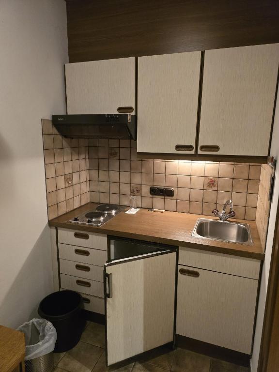 Kuchyň nebo kuchyňský kout v ubytování Hotel Vista Carnica