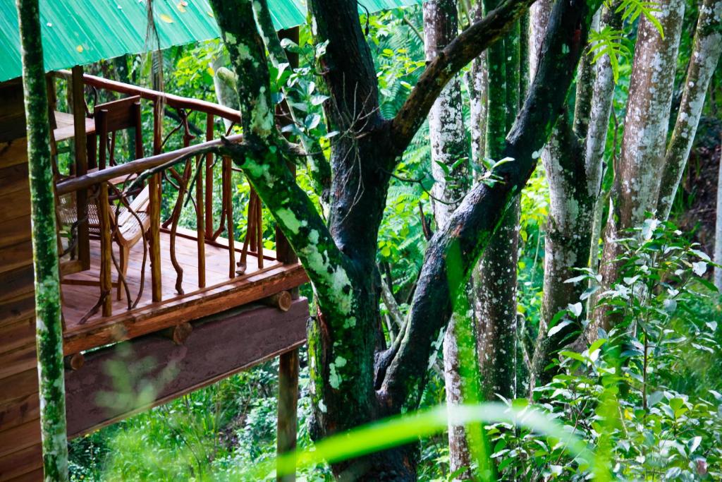 Zahrada ubytování Ella Ecolodge