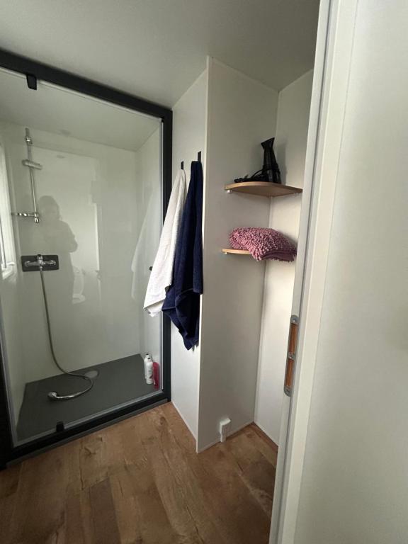 Koupelna v ubytování Mobilhome dans les Pins