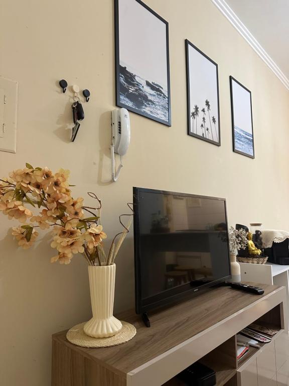 カパン・ダ・カノアにあるApto 604 vibesの花瓶の上のテレビ