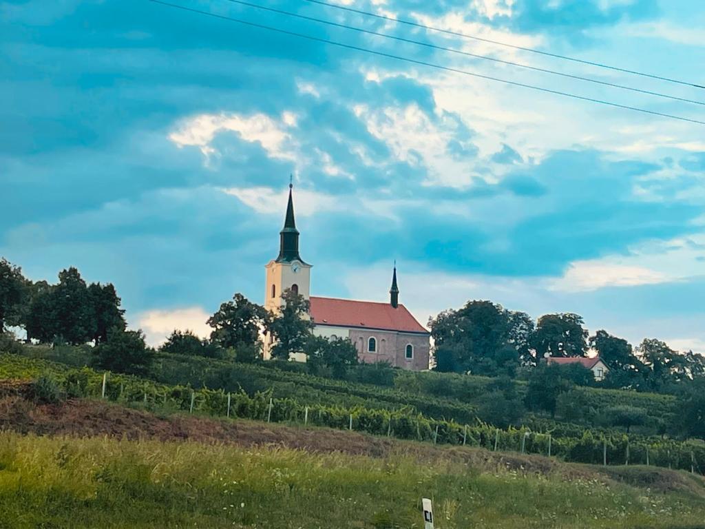 Příroda nedaleko prázdninového domu