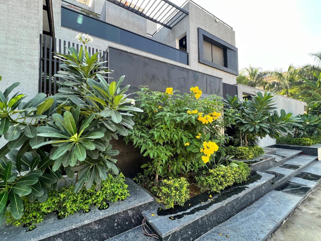 Jardin de l'établissement Lumbs'
