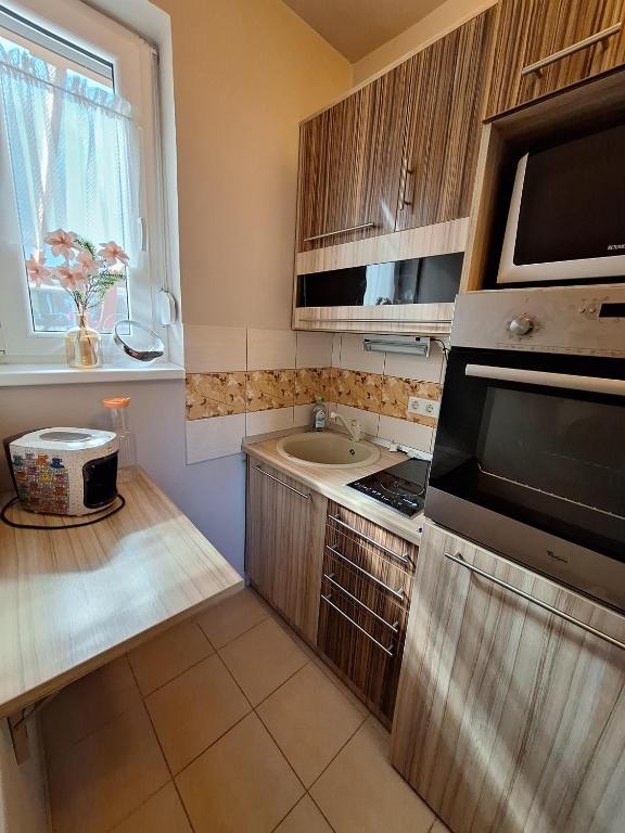 Kuchyň nebo kuchyňský kout v ubytování Erdőszéli Apartman