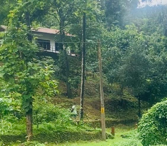 a house on the side of a hill with trees at Plantation stay in Kuttyādi