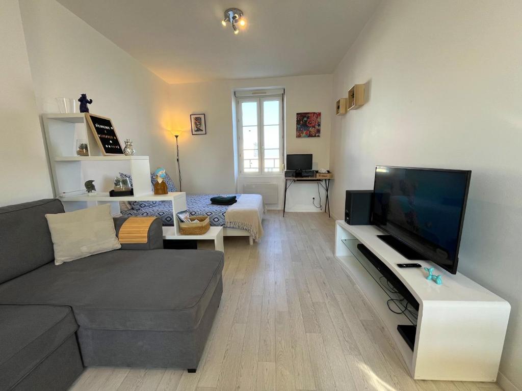TV a/nebo společenská místnost v ubytování Beau Studio avec vue sur Mer et parking gratuit