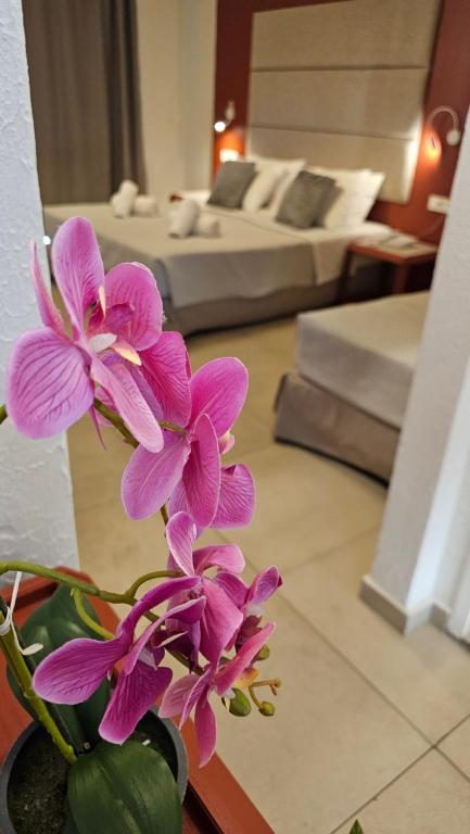 
Annex Superior Family Room
